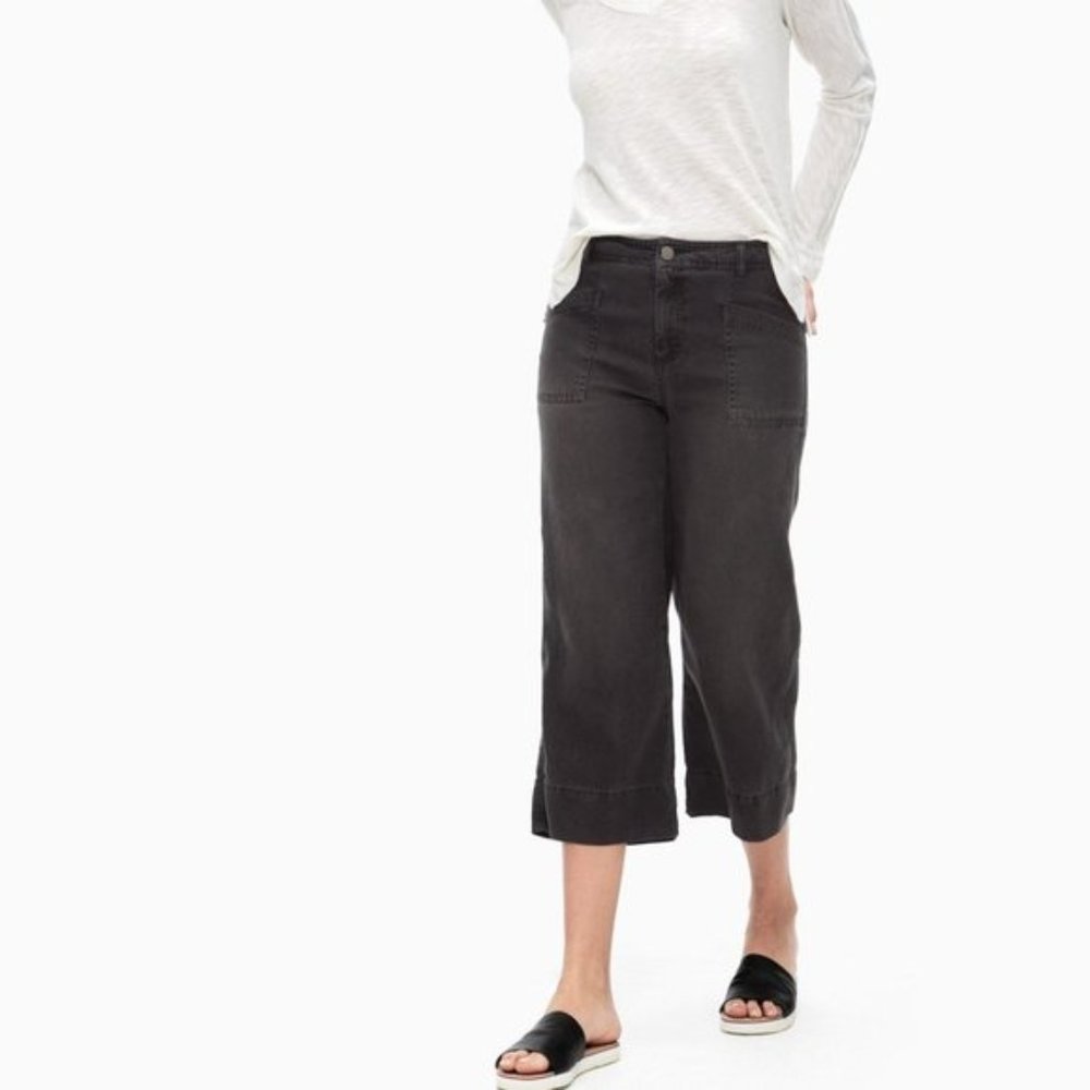 Splendid Peached Twill Cropped Wide Leg Pant (31)